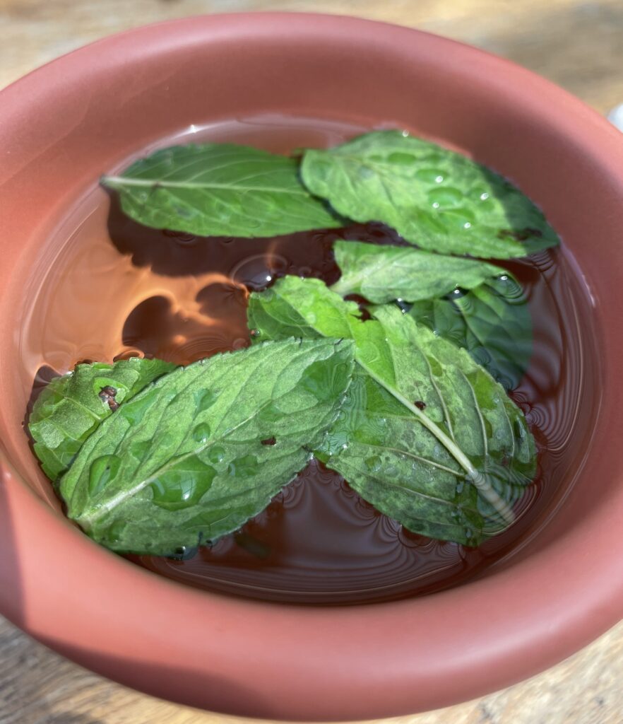 Restaurant Ojo de Agua mint tea